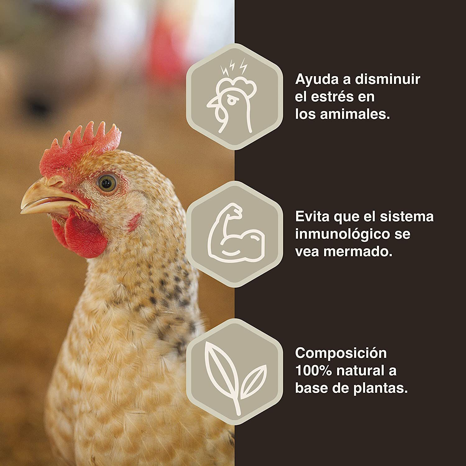 Finca casarejo solustress prevenci&oacute;n del estr&eacute;s en aves y conejos, , large Imagen numero 2